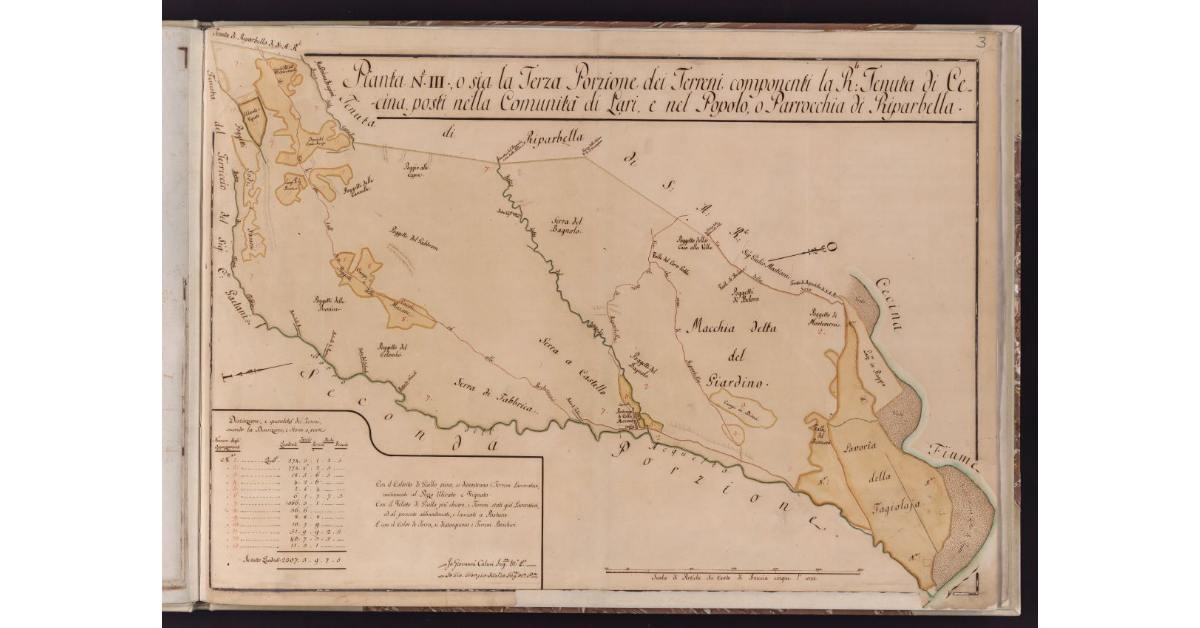 Pianta N. III, o sia la Terza Porzione dei Terreni componenti la R.le Tenuta di Cecina, posti nella Comunità di Lari, e nel Popolo o Parrocchia di Riparbella