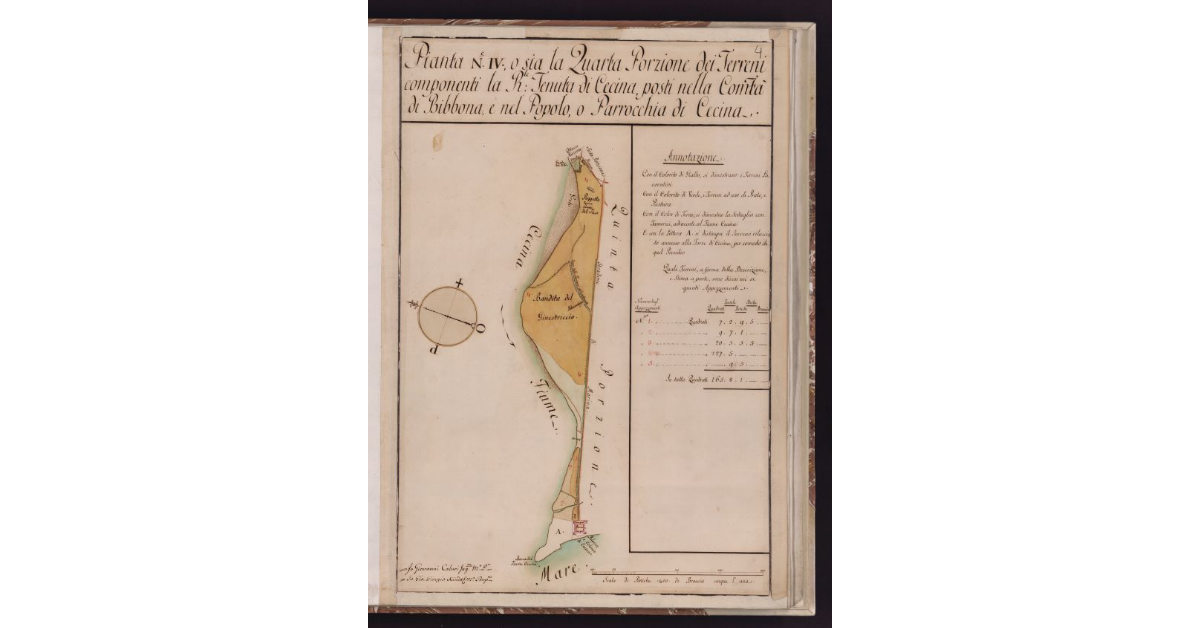 Pianta N. IV, o sia la Quarta Porzione dei Terreni componenti la R.le Tenuta di Cecina, posti nella Comunità di Bibbona, e nel Popolo o Parrocchia di Cecina