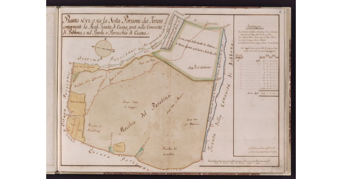 Pianta n. VI, o sia la Sesta Porzione dei Terreni componenti la Reale Tenuta di Cecina, Posti nella Comunità di Bibbona, e nel Popolo, o Parrocchia di Cecina