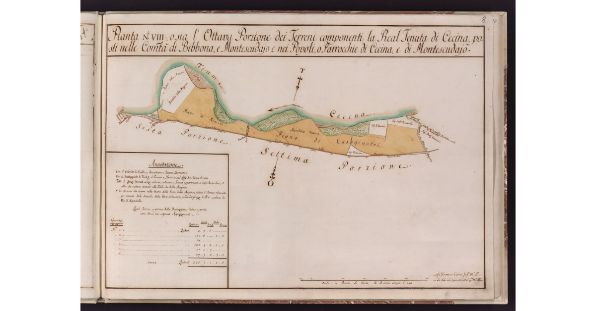 Pianta N. VIII, o sia l'Ottava Porzione dei Terreni componenti la Real Tenuta di Cecina, posti nelle Comunità di Bibbona, e Montescudajo e nei Popoli, o Parrocchie di Cecina, e di Montescudajo