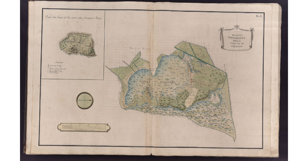 Pianta topografica della Tenuta di Coltano