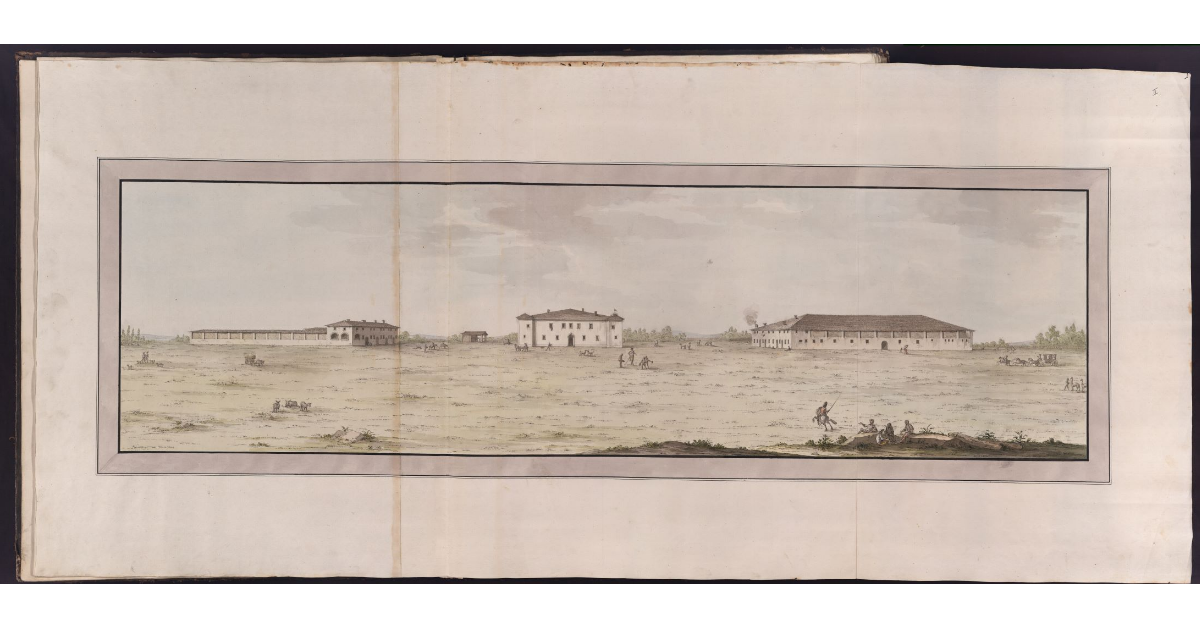 [Veduta della tenuta di Coltano]