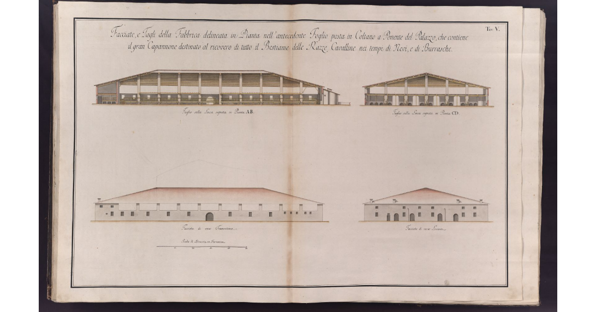 Facciate, e Tagli della Fabbrica delineata in Pianta nell'antecedente Foglio posta in Coltano a Ponente del Palazzo, che contiene il gran Capannone destinato al ricovero di tutto il Bestiame delle Razze Cavalline nei tempi di Nevi, e di Burrasche