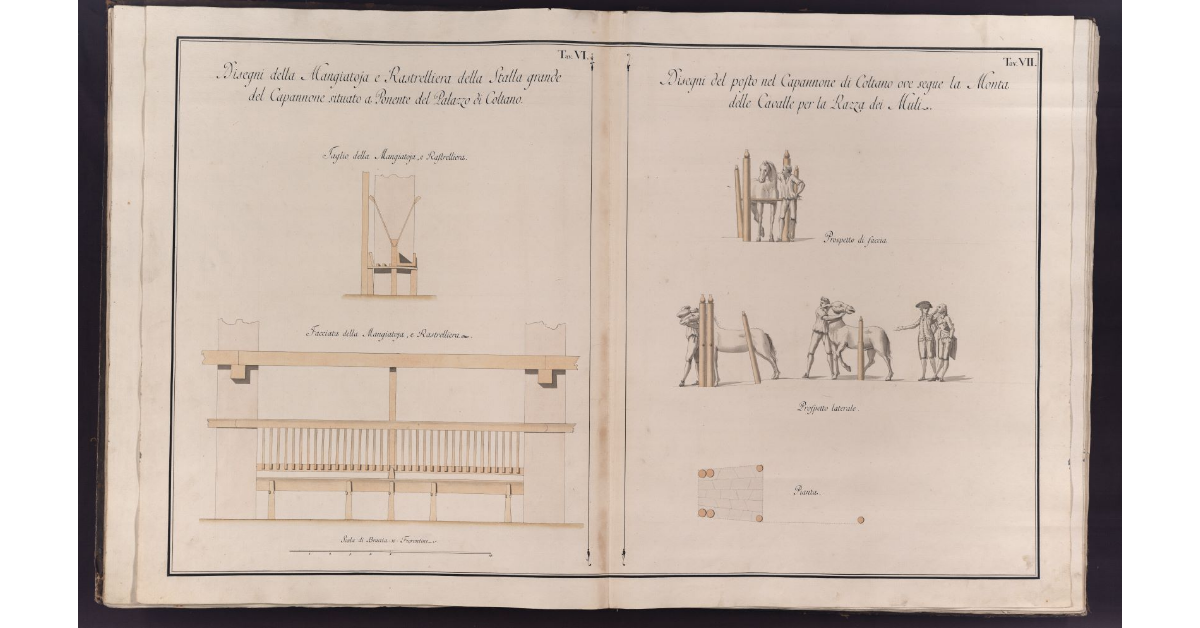[Disegni relativi alla mangiatoia e allo spazio della monta nel capannone della tenuta di Coltano]
