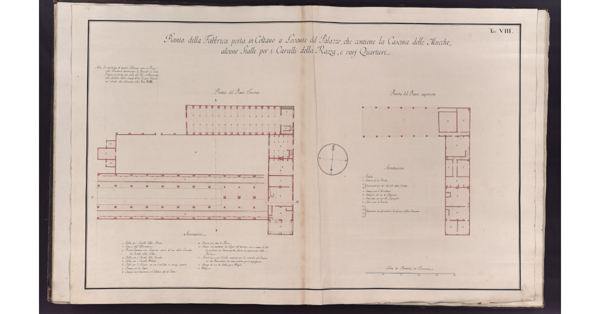 Pianta della Fabbrica posta in Coltano a Levante del Palazzo, che contiene la Cascina delle Mucche, alcune Stalle per i Cavalli della Razza, e varj Quartieri