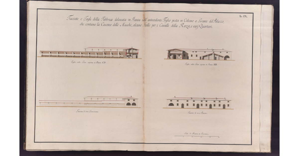 Facciate e Tagli della Fabbrica delineata in Pianta nell'antecedente Foglio posta in Coltano a Levante del Palazzo, che contiene la Cascina delle Mucche, alcune Stalle per i Cavalli della Razza, e varj Quartieri