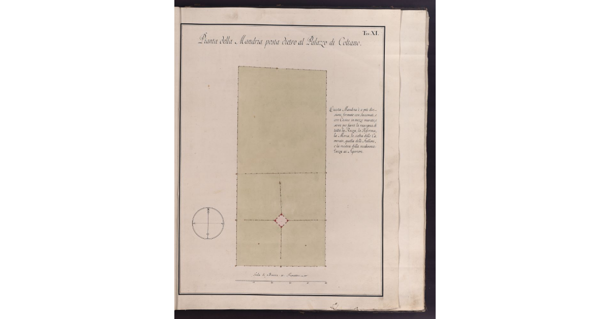 Pianta della Mandria posta dietro al Palazzo di Coltano