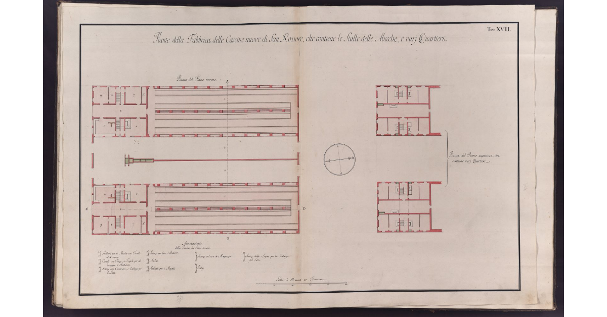 Pianta della Fabbrica delle Cascine nuove di San Rossore, che contiene le Stalle delle Mucche, e varj Quartieri
