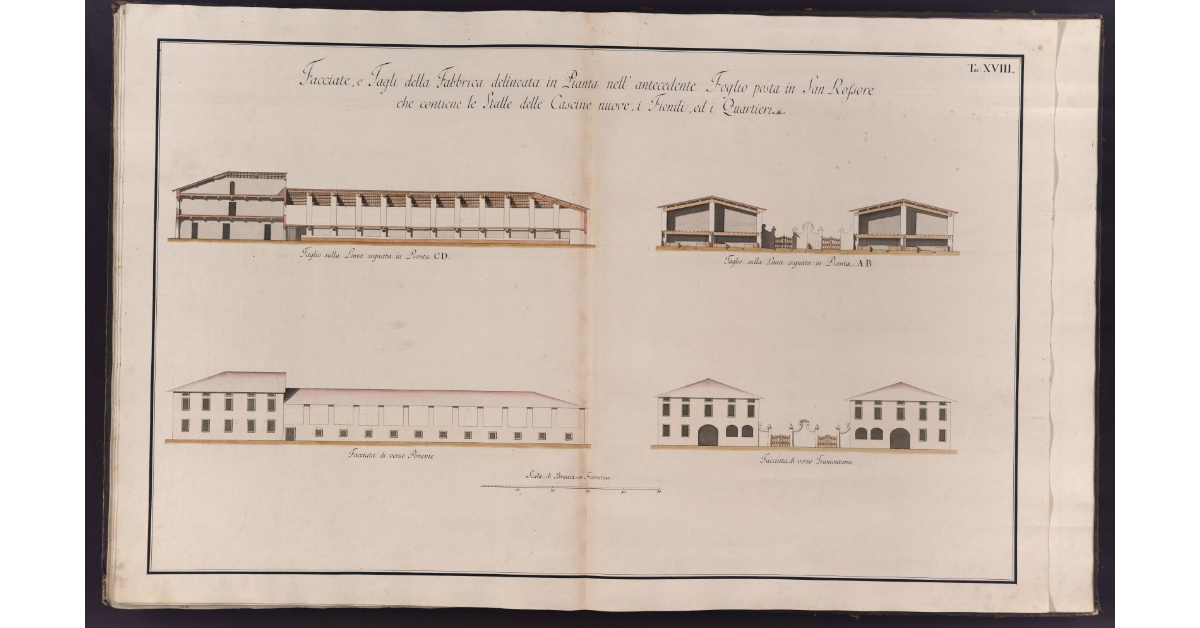 Facciate, e Tagli della Fabbrica delineata in Pianta nell'antecedente Foglio posta in San Rossore che contiene le Stalle delle Cascine nuove, i Fienili, ed i Quartieri