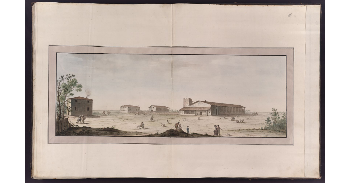 [Veduta delle Cascine vecchie della tenuta di S. Rossore]