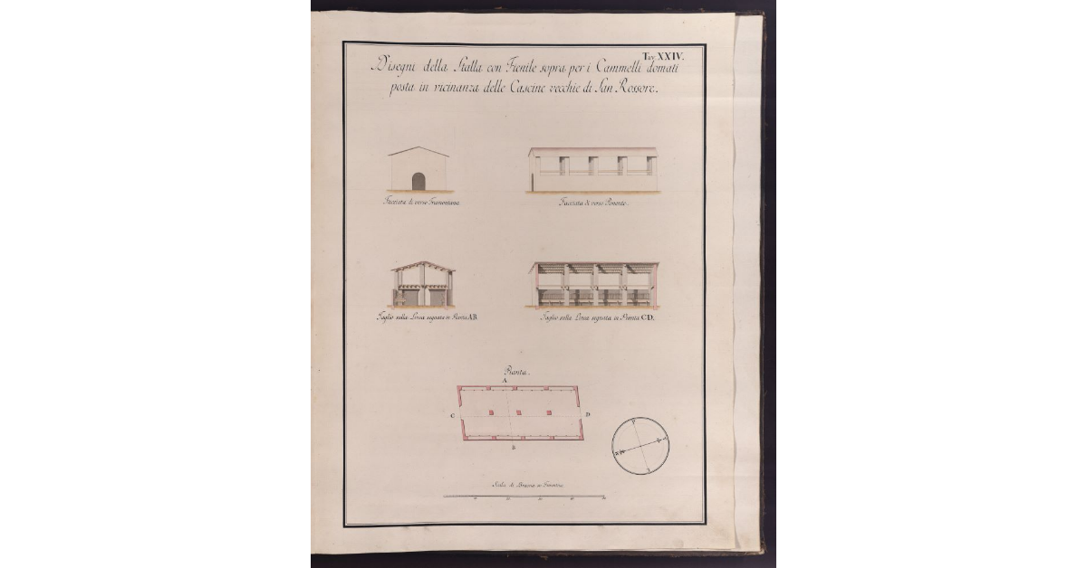 Disegni della Stalla con Fienile sopra per i Cammelli domati posta in vicinanza delle Cascine vecchie di San Rossore