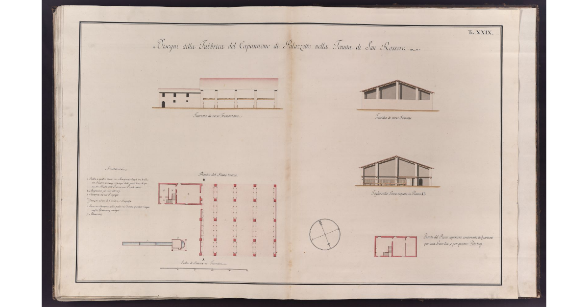 Disegni della Fabbrica del Capannone di Palazzetto nella Tenuta di San Rossore