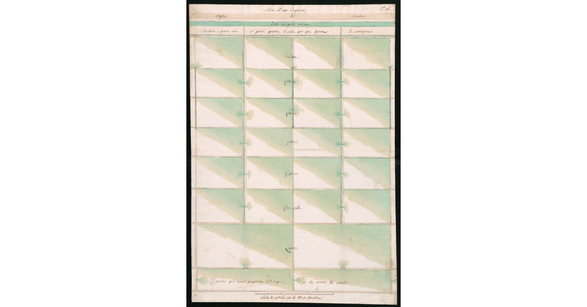 Saline alla Trapanese