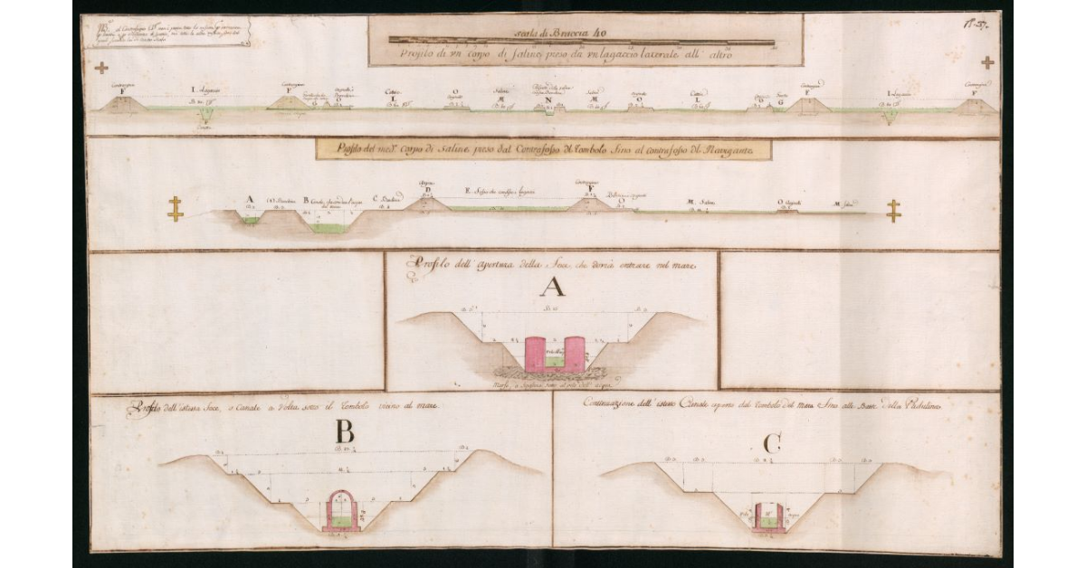 Profili delle nuove saline di Castiglione della Pescaia