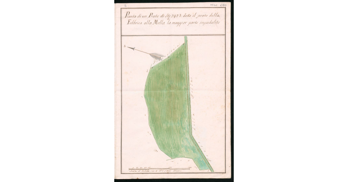 Pianta di un Prato di Stiora 2.4.2.3 detto il prato della Fabbrica alla Molla la maggior parte impadulito