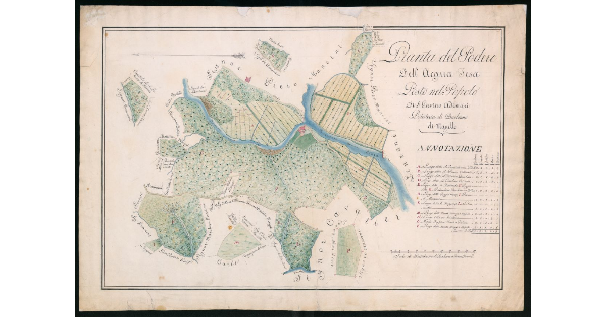 Pianta del podere dell'Acqua Tesa pasta nel popolo di S.Gavino Adimari potesteria di Barberino di Mugello