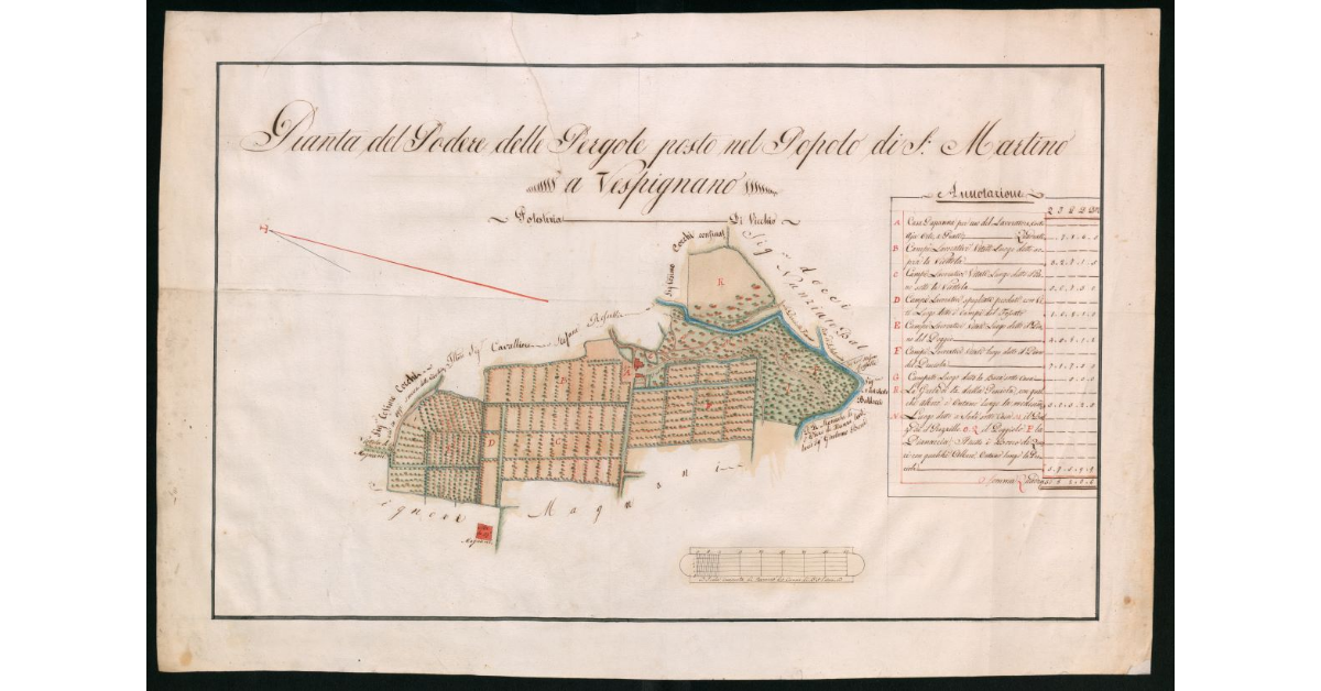 Pianta del podere delle Pergole posto nel popolo di S. Martino a Vespignano. Podesteria di Vicchio