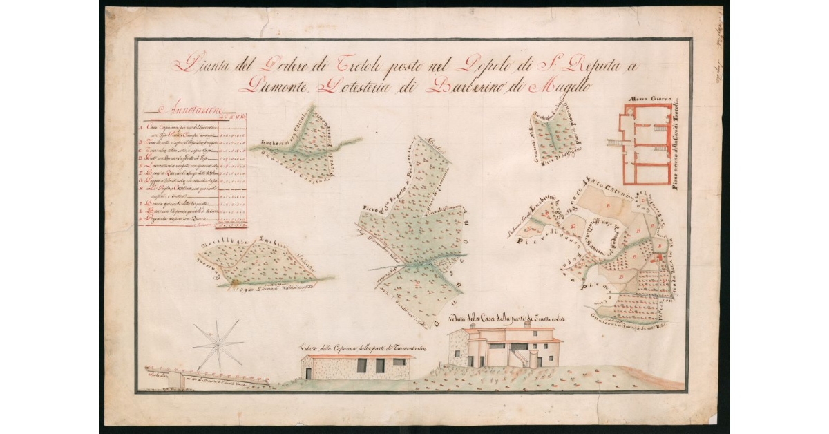 Pianta del podere di Trotoli posto nel popolo di S.Reparata a Piemonte. Podesteria di Barberino di Mugello