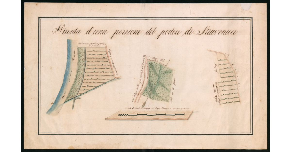 Pianta di una porzione del podere di Stianovicci