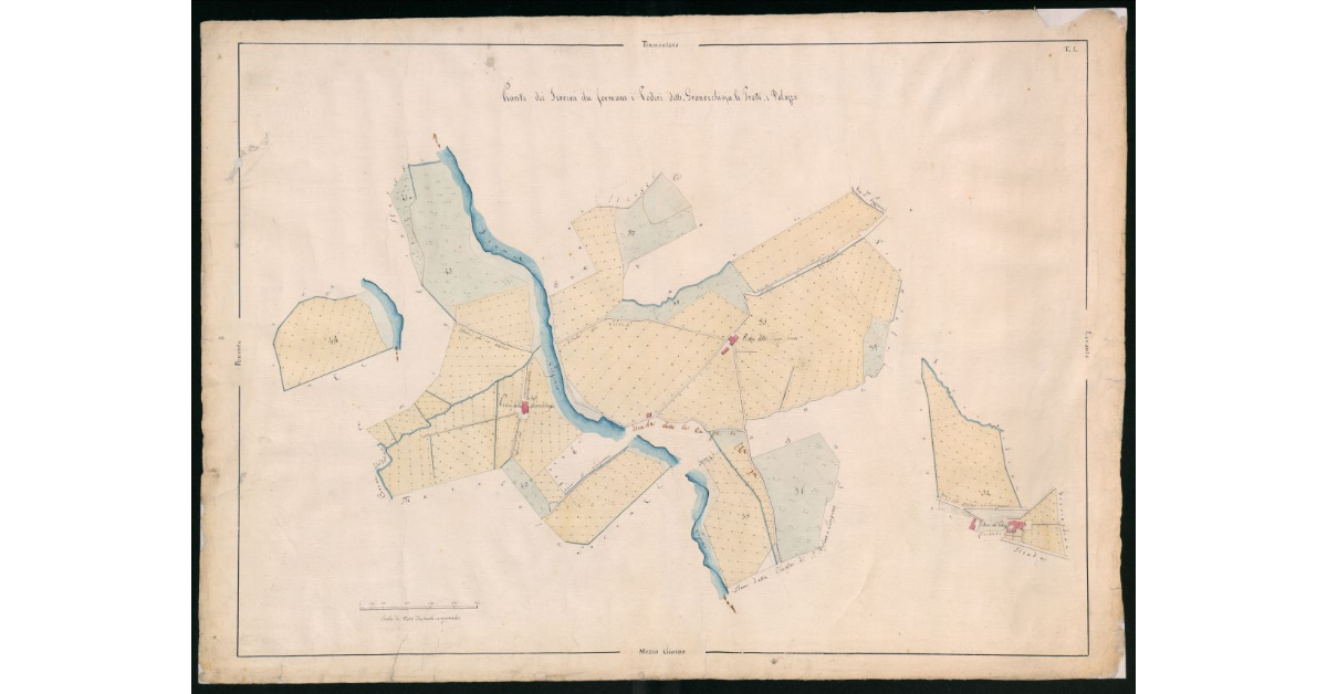 Piante dei terreni che formano i poderi detti Granocchiaia, la Grotta e Palazzo. Tav.4