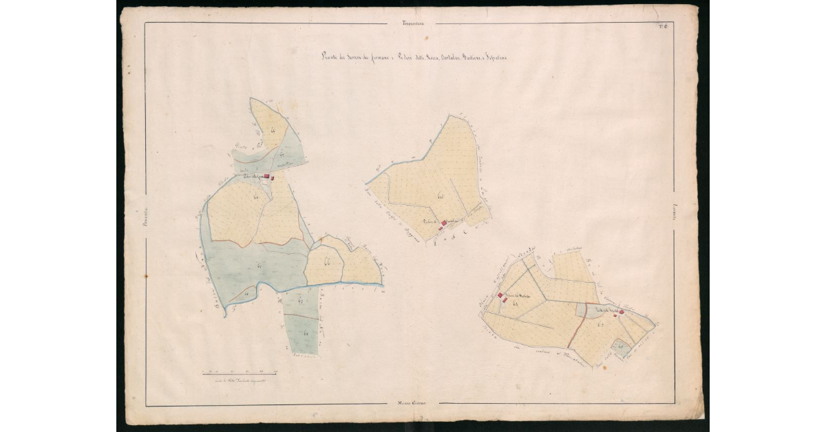 Pianta dei terreni che formano i poderi detti Rocca, Bartalese, Bastione e Fossatino. Tav.6