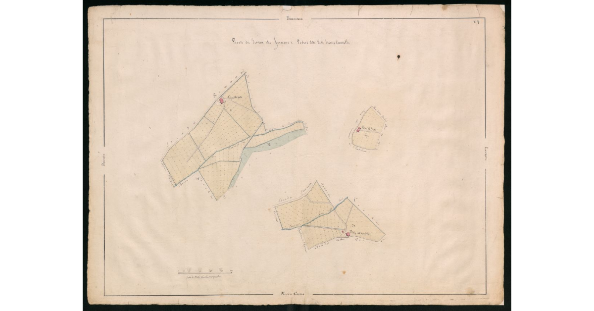 Pianta dei terreni che formano i poderi detti Costa, Secco e Canciulle. Tav.7