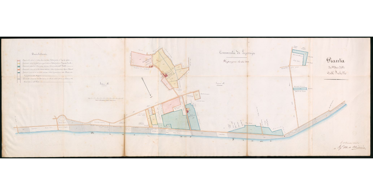 Pianta dei poderi detti dell'Isolotto comunità di Legnaia