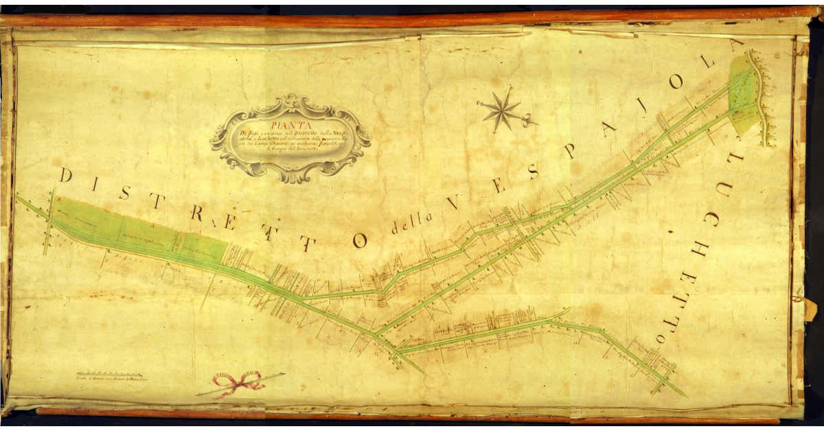 Pianta dei Fossi compresi nel distretto della Vespaiola e Luchetto, coll'indicazione delle prospettive faccie dei campi adjacenti ai medesimi. Fatta il dì 21 di giugno dell'anno 1768