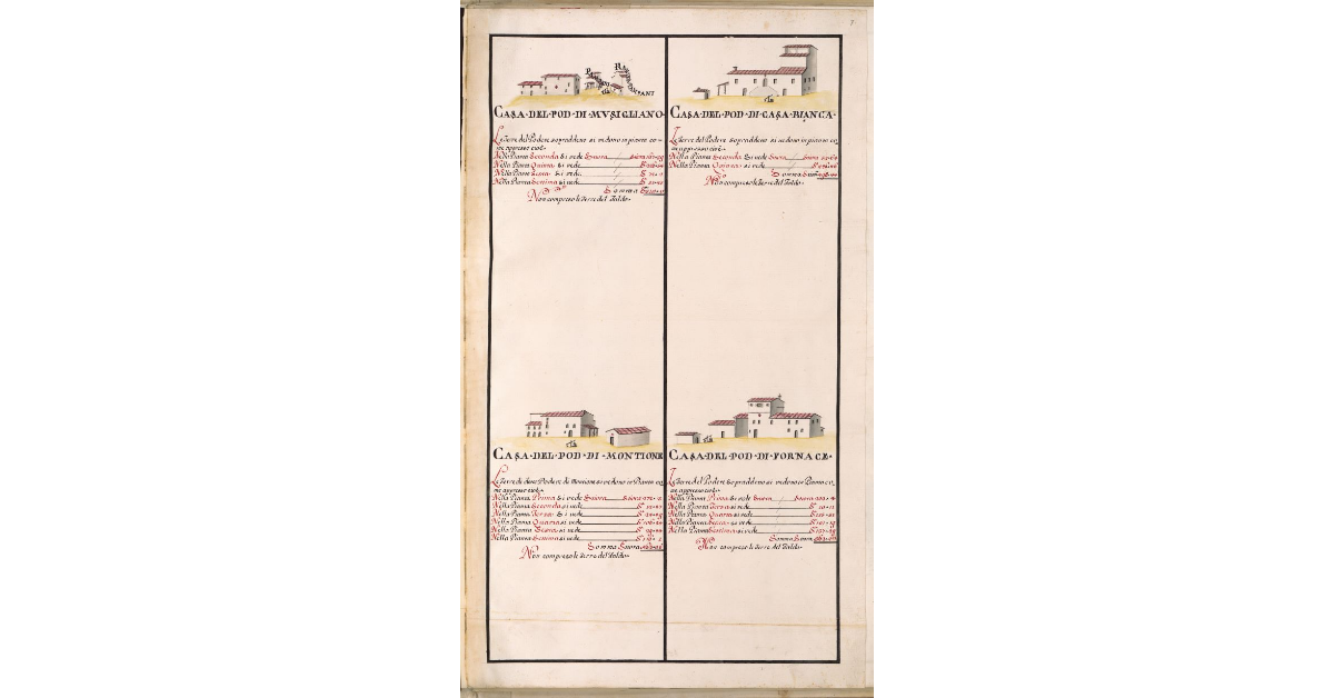 [Vedute delle case dei poderi di Musigliano, Casa Bianca, Montione e Fornace]