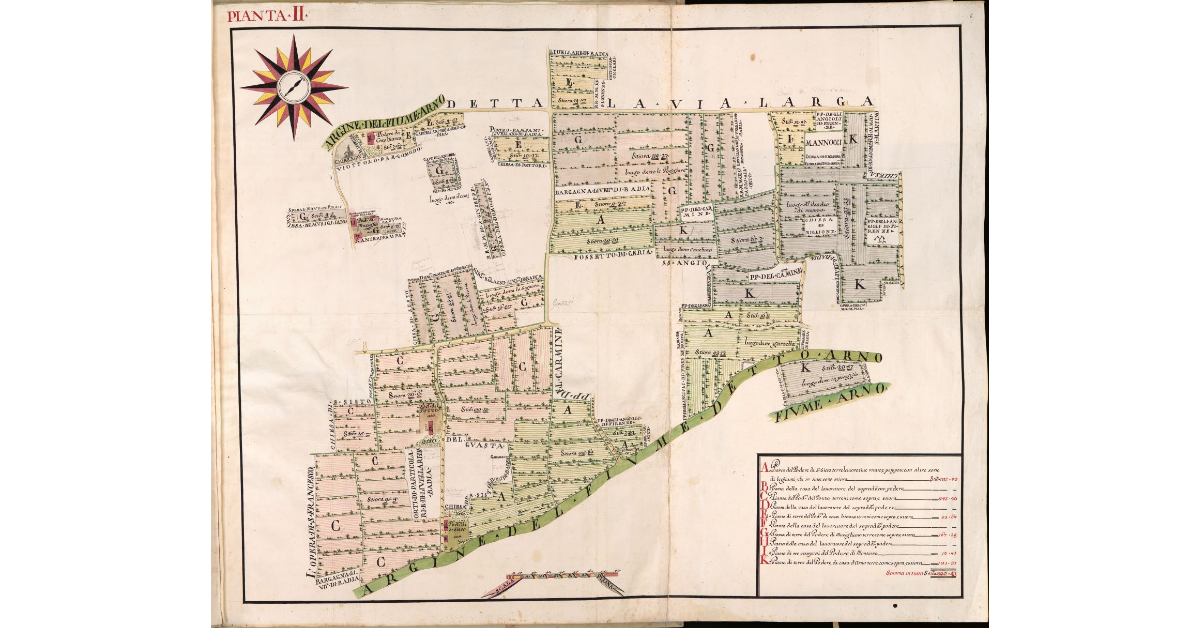Pianta II [di una parte della fattoria della Badia di San Savino]