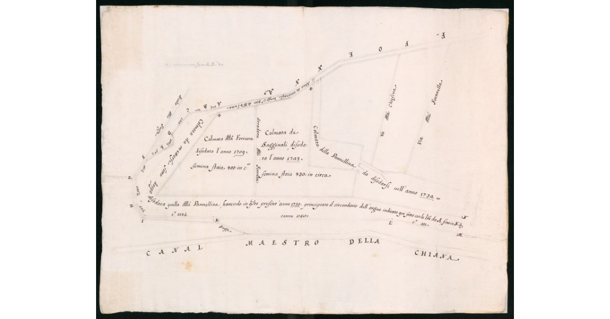 Carta delle colmate della Foenna nella Fattoria di Bettolle in Valdichiana