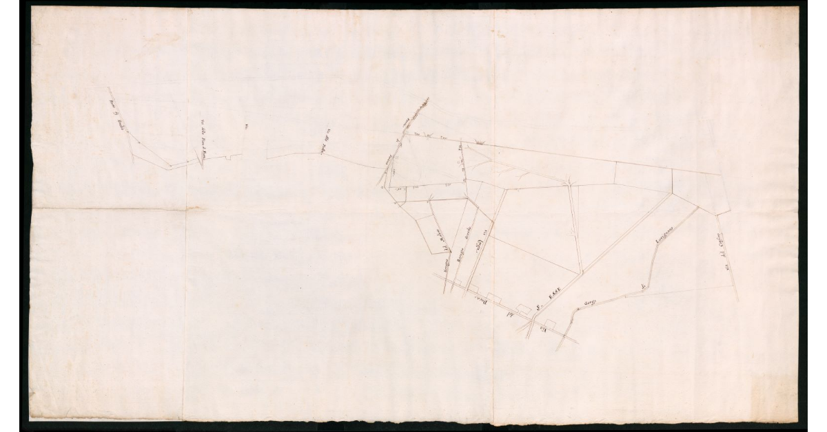 [Carta delle colmate dell'Esse nella fattoria di Foiano in Valdichiana]