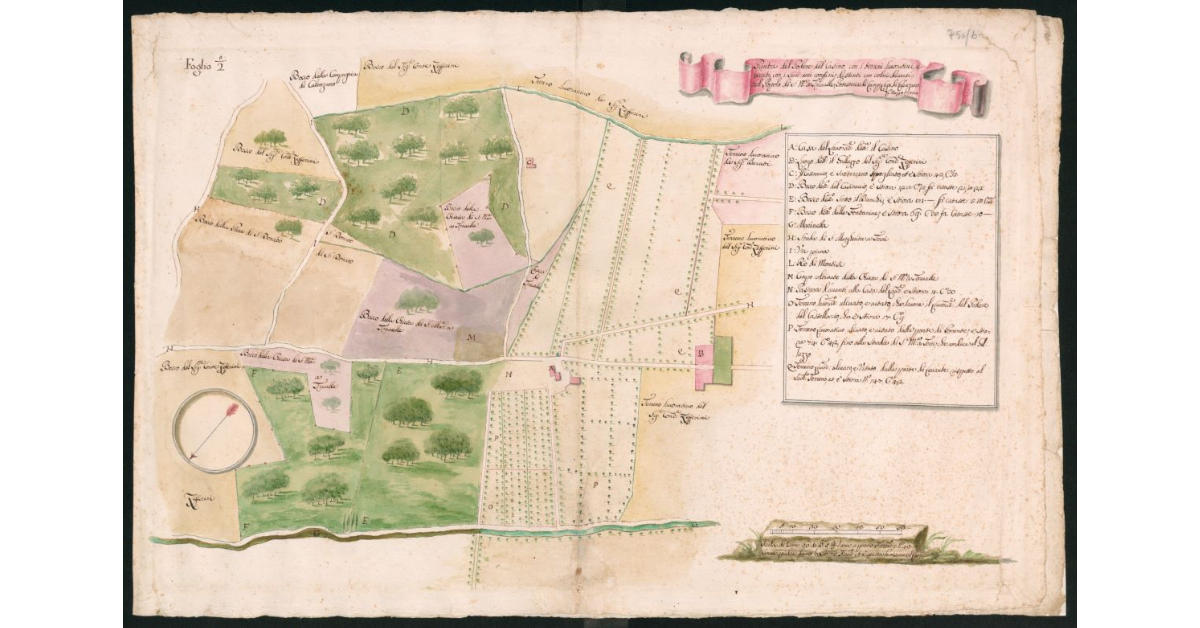 Pianta del Podere del Casino con i terreni lavorativi e boscati, con i suoi veri confini, distinti con colori diversi nel Popolo di S.Maria a Travalle, Potesteria di Campi, Lega di Calenzano
