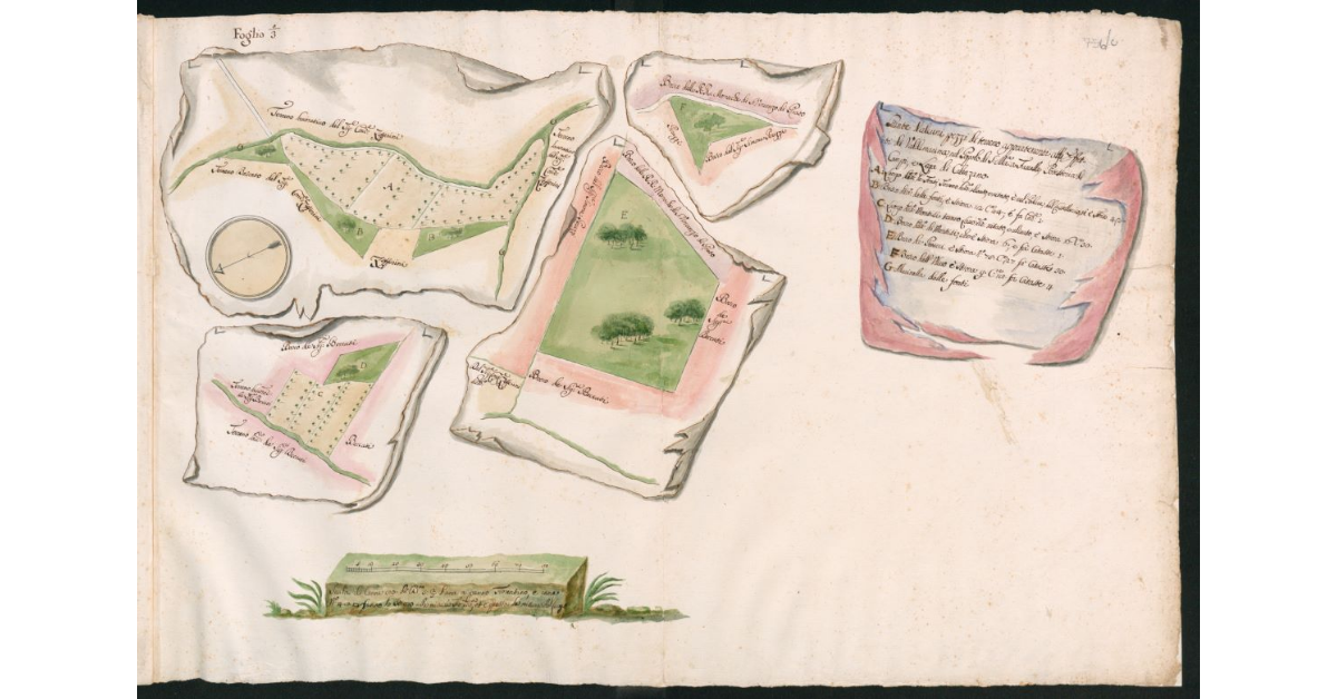 Pianta d'alcuni pezzi di terreno appartenenti agl'Effetti di Valdimarina nel Popolo di S.Maria a Travalle Potesteria, di Campi Lega, di Calenzano