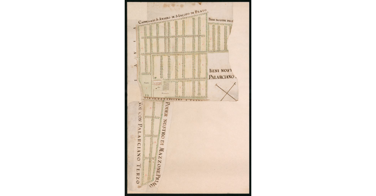 [Mappa di un Podere in località Palarciano nel territorio di Prato]