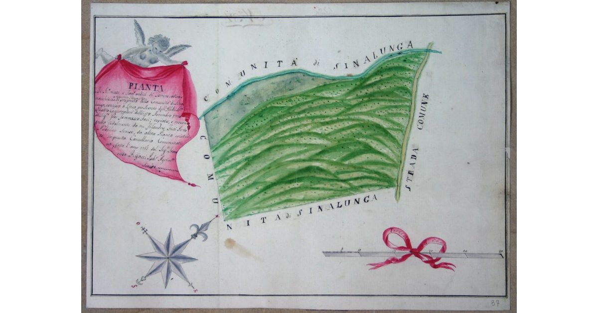 Pianta di St.a venti e Tav.e undici di Terreno sodivo, e macchioso in contrada Giuncarelli di proprietà della comunità di Sinalunga