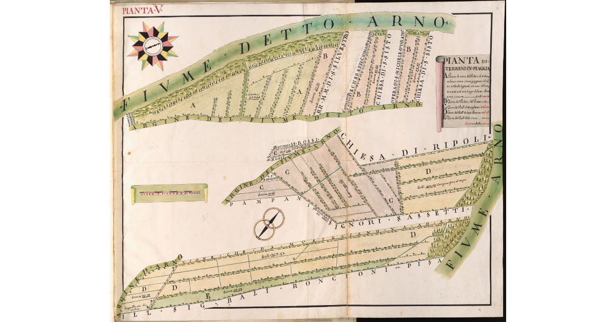 Pianta V. Pianta di Terreni in Piaggia [d'Arno]