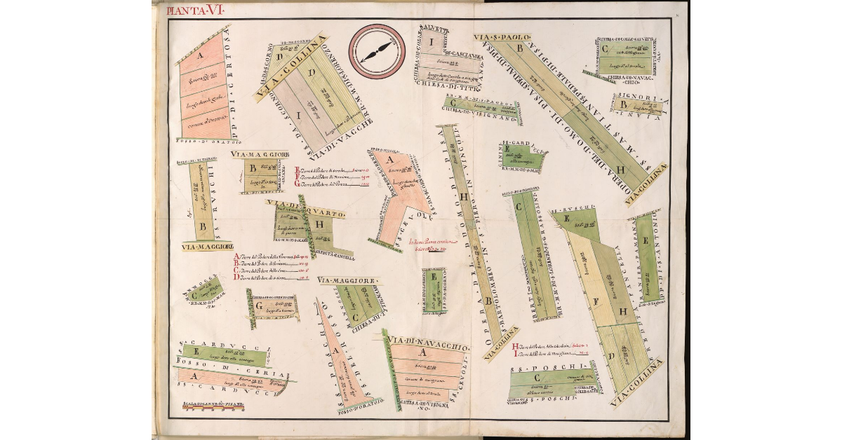 Pianta VI [di terre spezzate della fattoria della Badia di San Savino]
