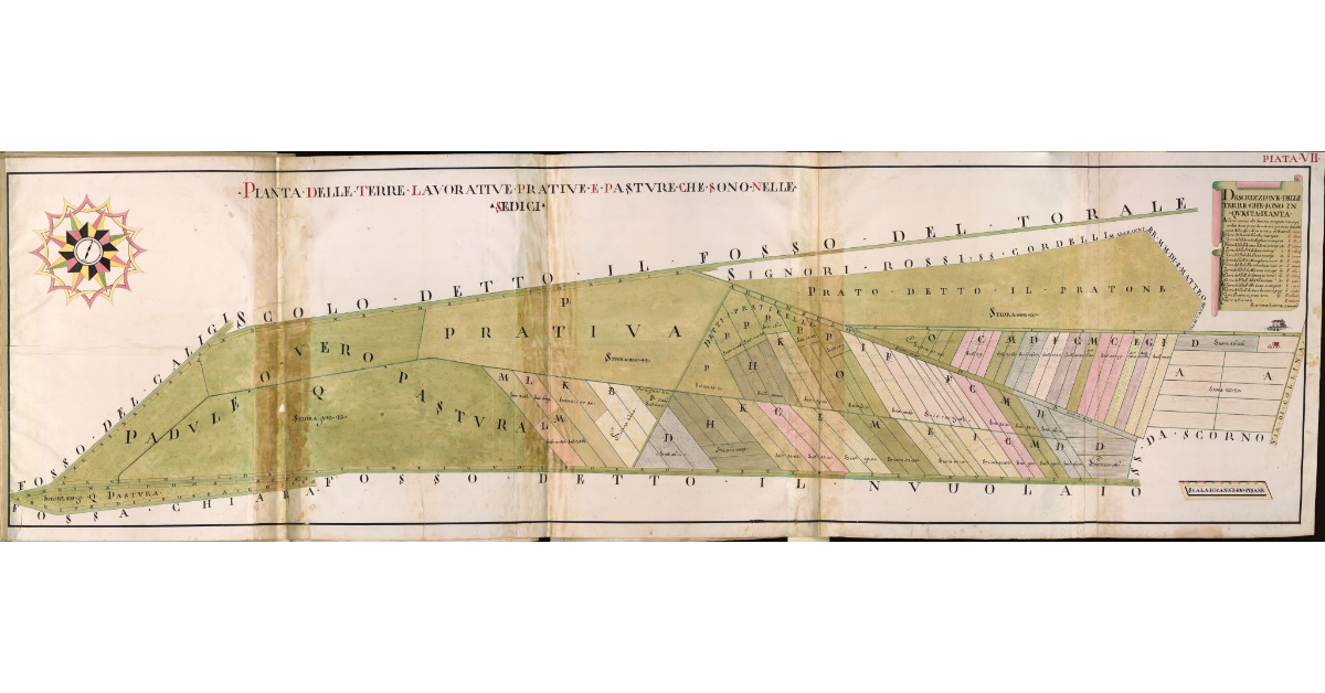Pianta VII. Pianta delle terre lavorative prative e pasture che sono nelle Sedici