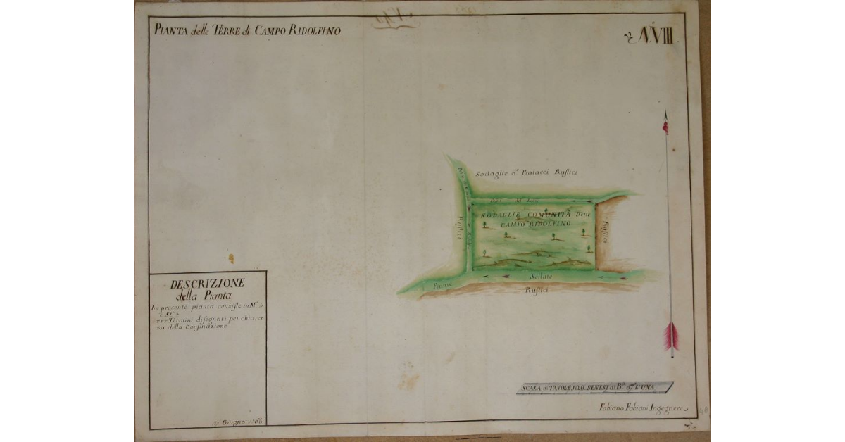 Pianta delle Terre di Campo Ridolfino