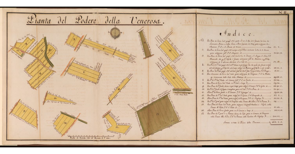 Pianta del Podere della Venerosa