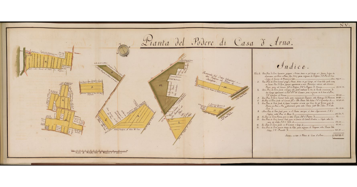 Pianta del Podere di Casa d'Arno