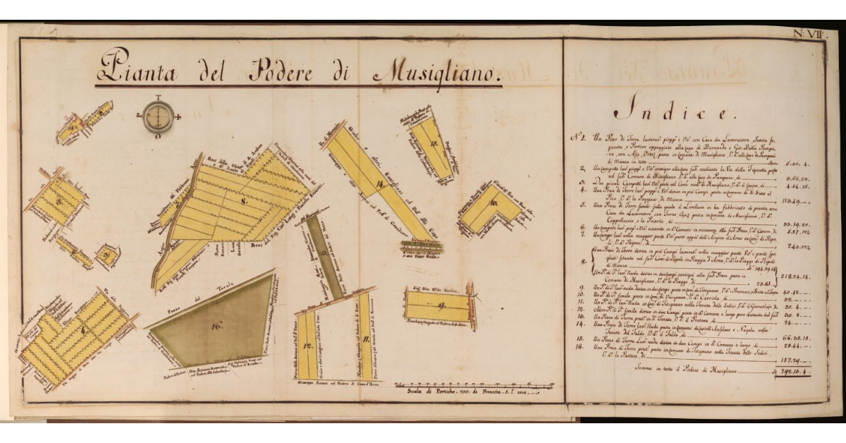 Pianta del Podere di Musigliano