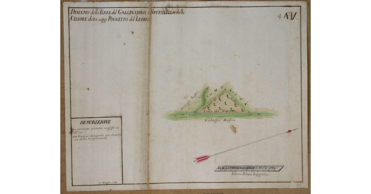 Disegno delle Terre di Gallinajolo o Fontanella delle Cellore, detto oggi Poggetto del Lebbio