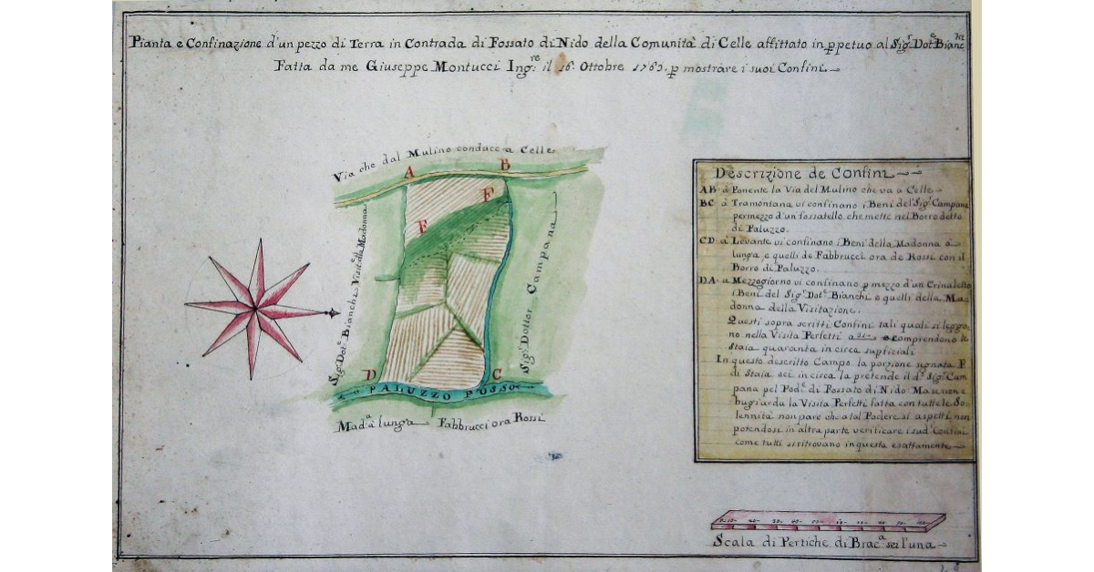 Pianta e confinazione d’un pezzodi terra in Contrada di Fossato di Nido della Comunità di Celle affittato in perpetuo al Signor Dottor Bianchi