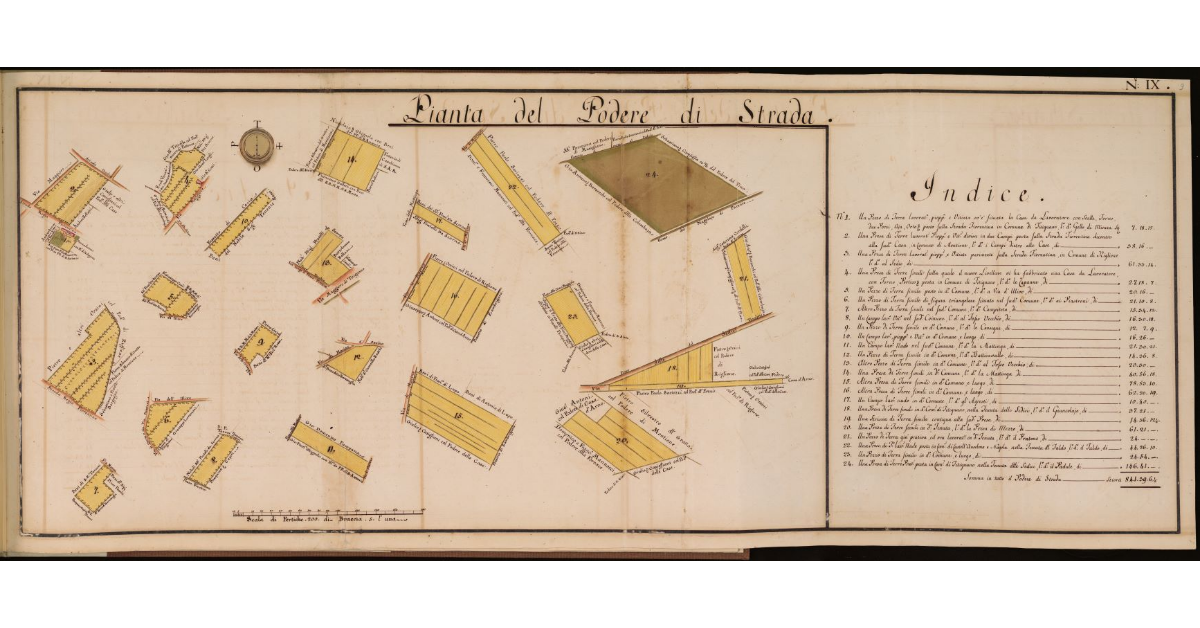 Pianta del Podere di Strada