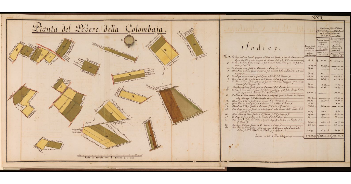 Pianta del Podere della Colombaia