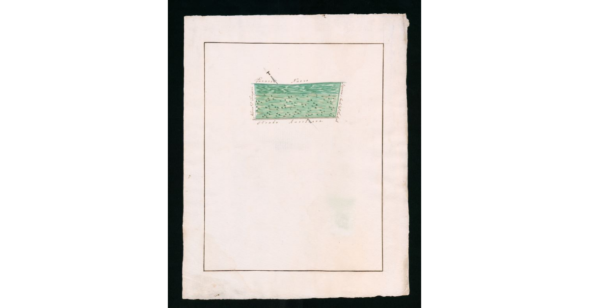 [Mappe pseudo-catastali di terre palustri e a seminativo nudo prive di insediamenti ubicate nella comunità di Grosseto]