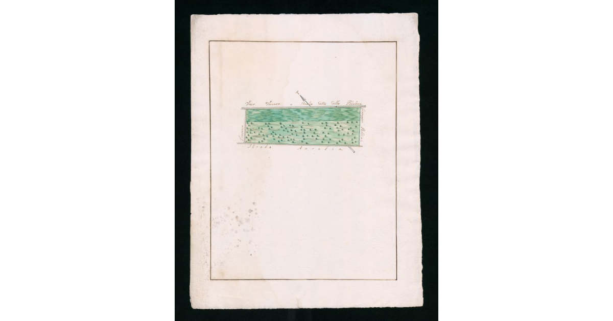 [Mappe pseudo-catastali di terre palustri e a seminativo nudo prive di insediamenti ubicate nella comunità di Grosseto]