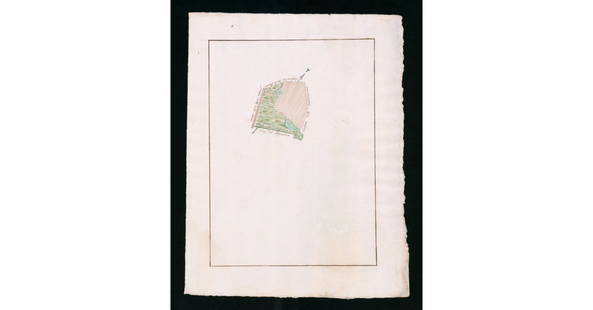 [Mappe pseudo-catastali di terre palustri e a seminativo nudo prive di insediamenti ubicate nella comunità di Grosseto]